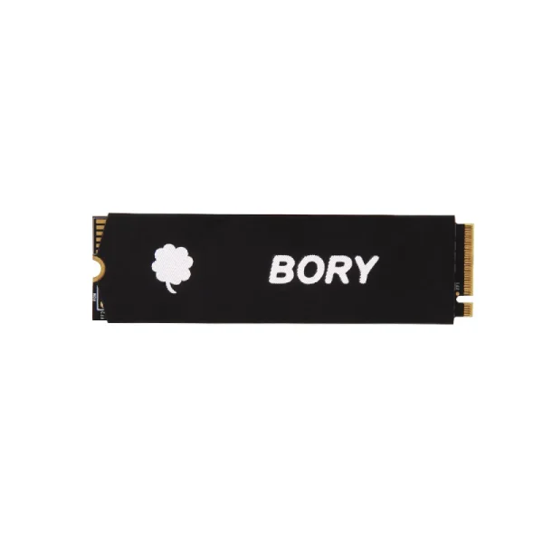 BORY 128GB NV890 NVMe 2280 Solid State Drive